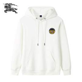 Picture of Burberry Hoodies _SKUBurberryM-3XL25tr1031723